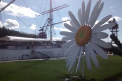 IMG_20210820_145111357