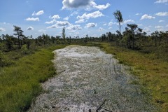 PXL_20220725_072552946