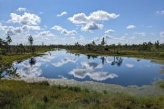 PXL_20220725_073045598