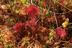 PXL_20220725_081420376