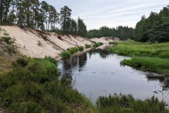 PXL_20220726_084929567